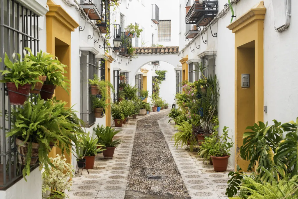 Cordoba (Andalucia, Spain): street